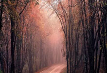 米体：瑞士网红球星莱曼将在离开尤文女足后加盟科莫女足，莱曼进球