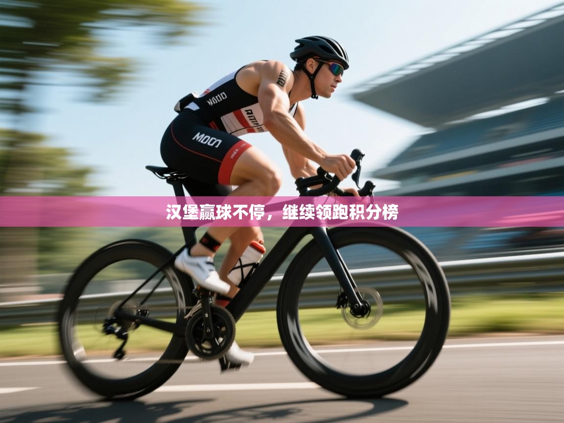 汉堡赢球不停，继续领跑积分榜  第1张