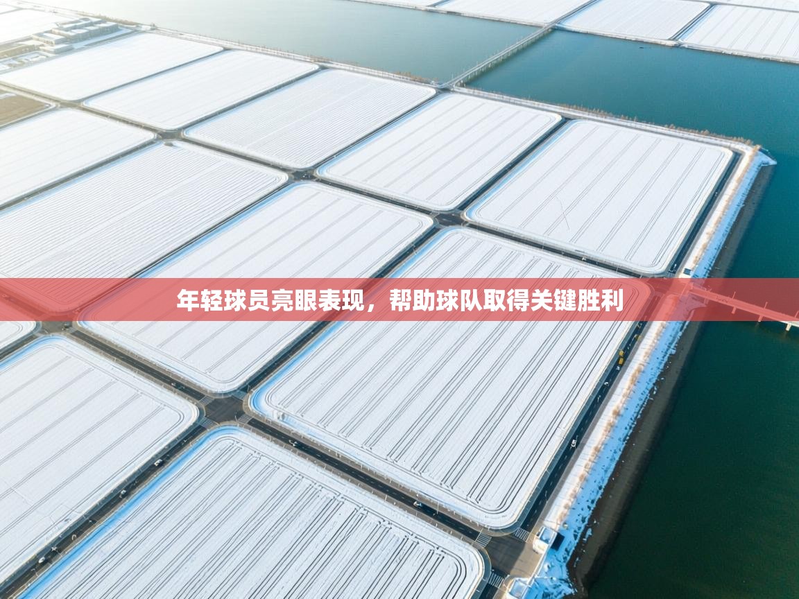 年轻球员亮眼表现，帮助球队取得关键胜利