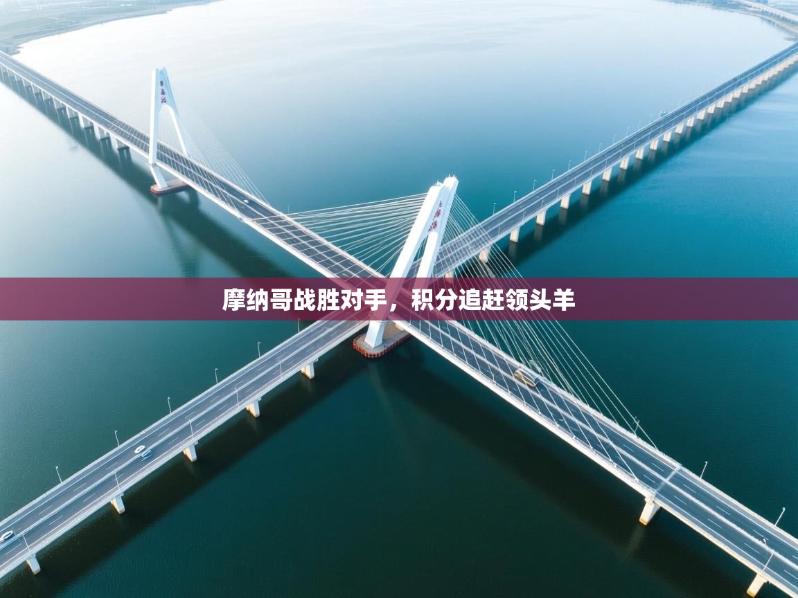 摩纳哥战胜对手,积分追赶领头羊 第1张