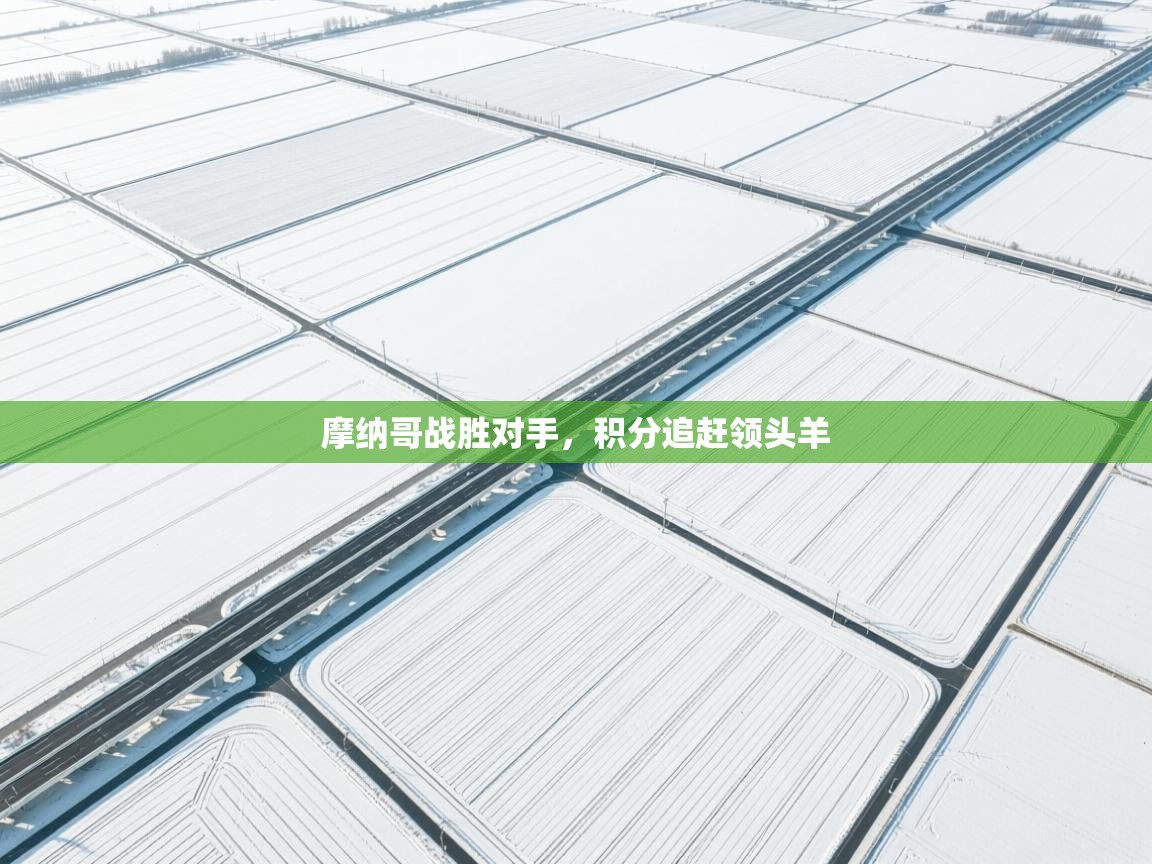 摩纳哥战胜对手,积分追赶领头羊 第2张