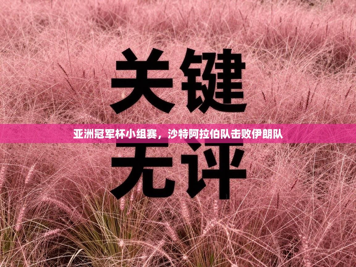 亚洲冠军杯小组赛，沙特阿拉伯队击败伊朗队  第2张